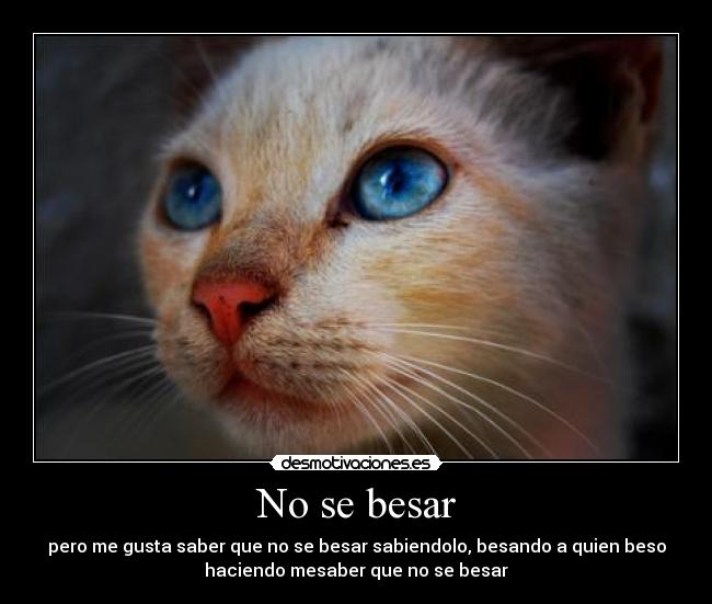 No se besar - 