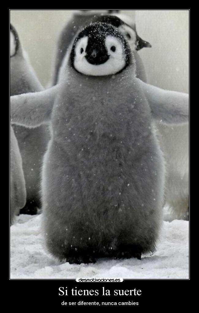Si tienes la suerte - de ser diferente, nunca cambies