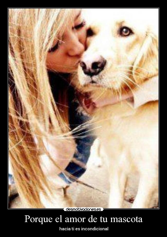 carteles amor porque amor mascota hacia incondicional desmotivaciones