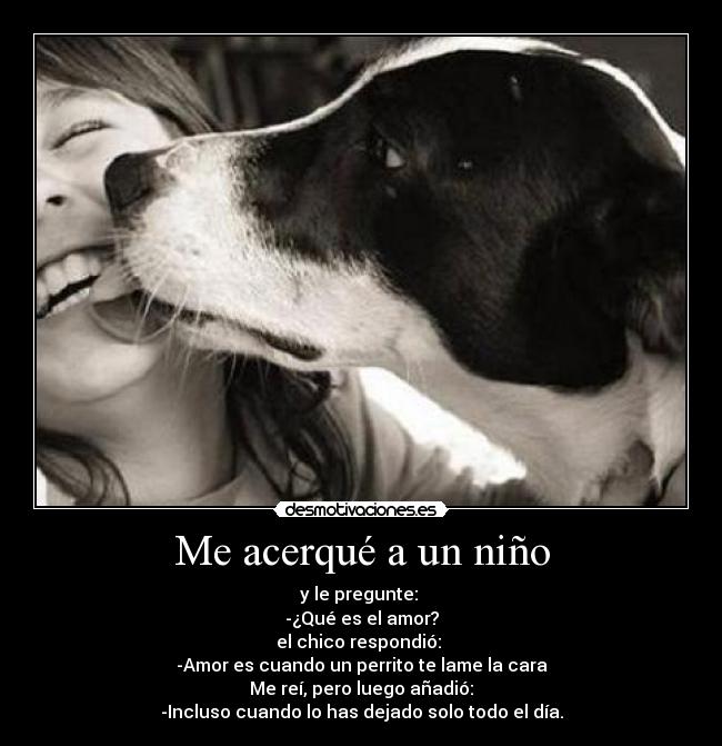 Me acerqué a un niño - 