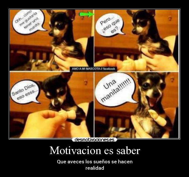 carteles lirico manos perro desmotivaciones