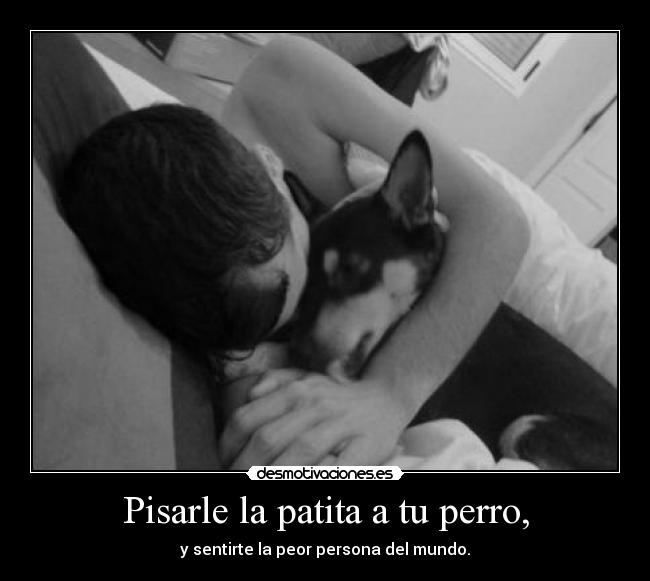 Pisarle la patita a tu perro, -
