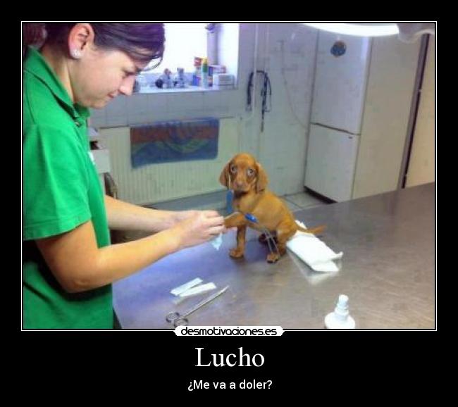 Lucho - ¿Me va a doler?