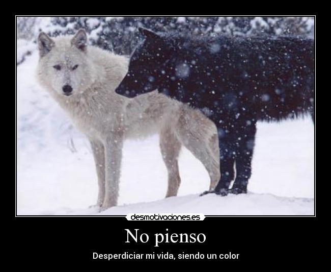 No pienso - Desperdiciar mi vida, siendo un color