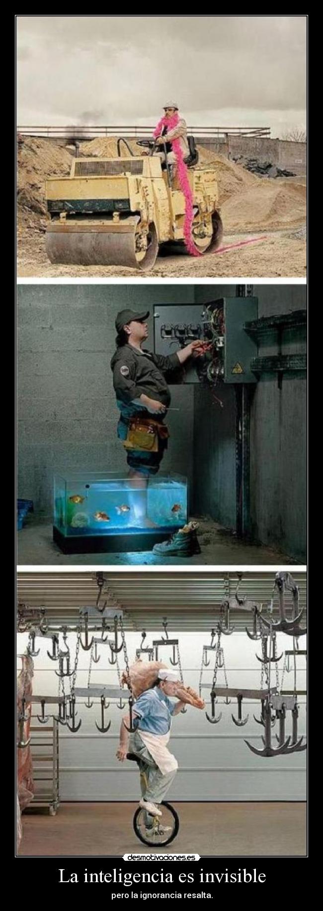 La inteligencia es invisible - 