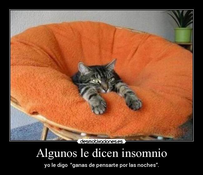 Algunos le dicen insomnio - yo le digo “ganas de pensarte por las noches”.