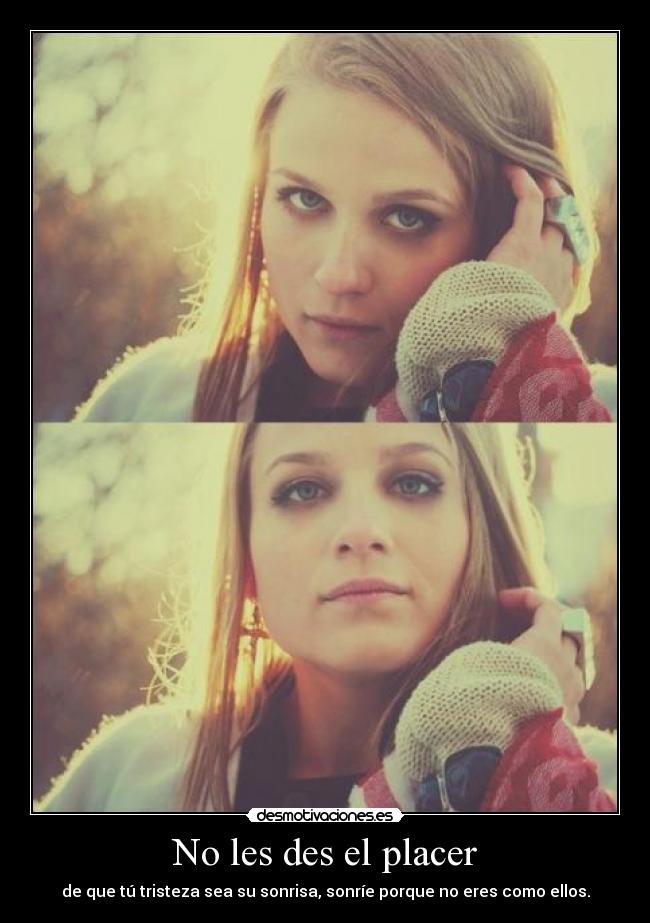 carteles wise mentalist0001 ostiaputaconaya pollito pio pollito pio desmotivaciones