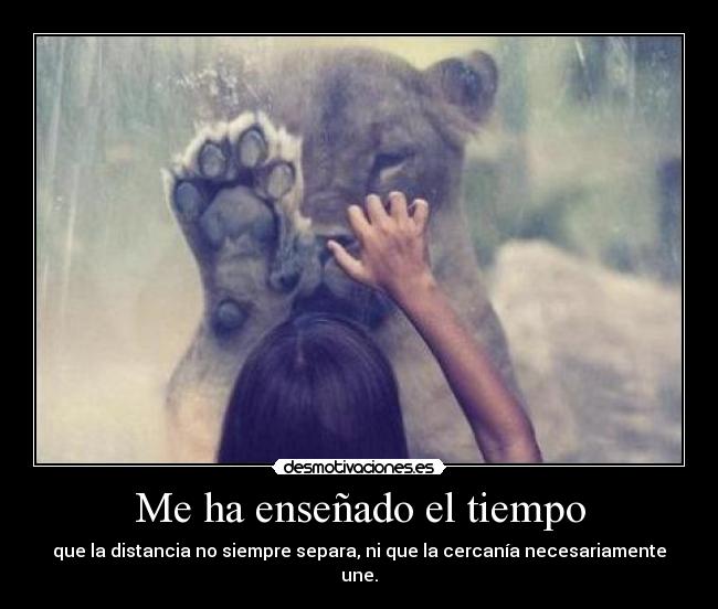 Me ha enseñado el tiempo - 