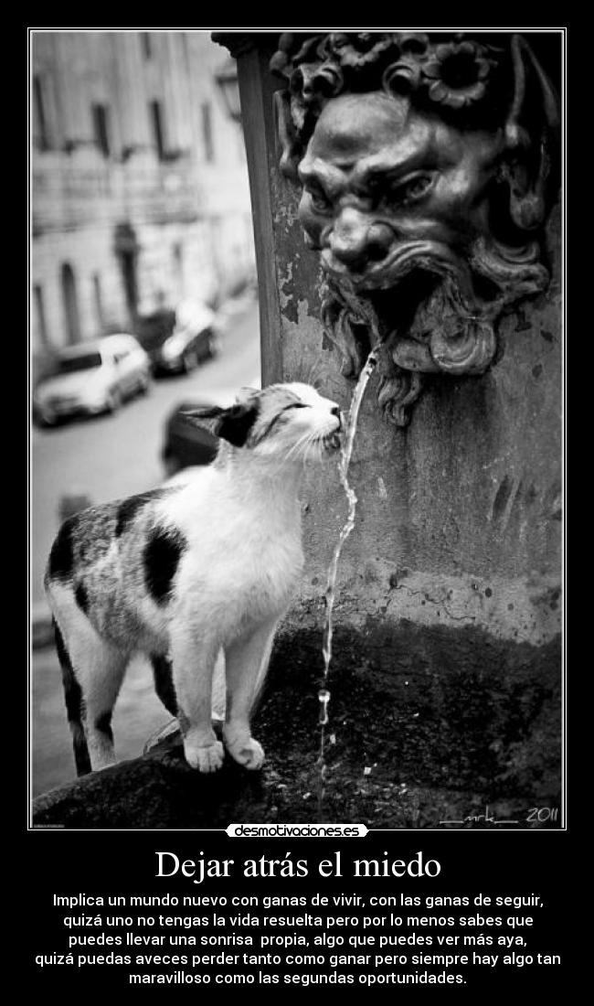 Dejar atrás el miedo - Implica un mundo nuevo con ganas de vivir, con las ganas de seguir,
quizá uno no tengas la vida resuelta pero por lo menos sabes que
puedes llevar una sonrisa  propia, algo que puedes ver más aya,
quizá puedas aveces perder tanto como ganar pero siempre hay algo tan
maravilloso como las segundas oportunidades.