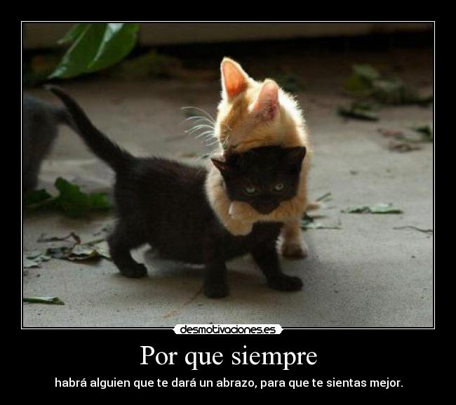 Por que siempre -
