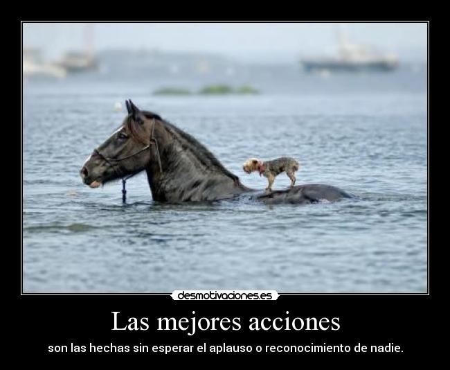 Las mejores acciones - 