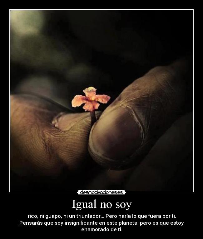 carteles vota desmotivaciones