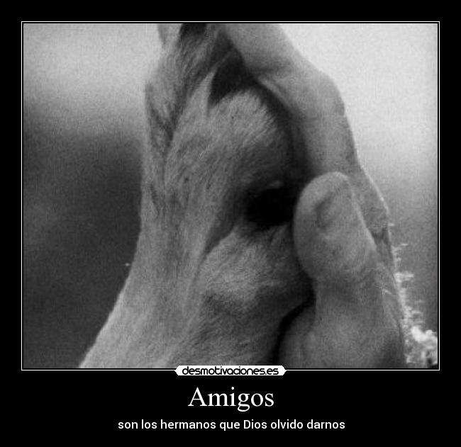 Amigos - son los hermanos que Dios olvido darnos