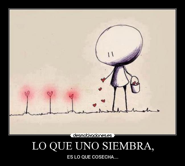 LO QUE UNO SIEMBRA, - 