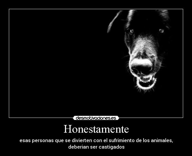 carteles  desmotivaciones