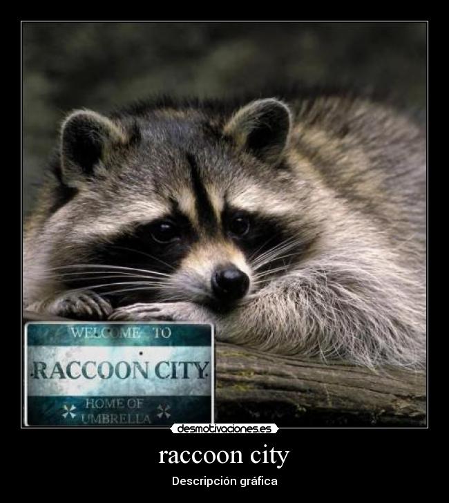 raccoon city - Descripción gráfica