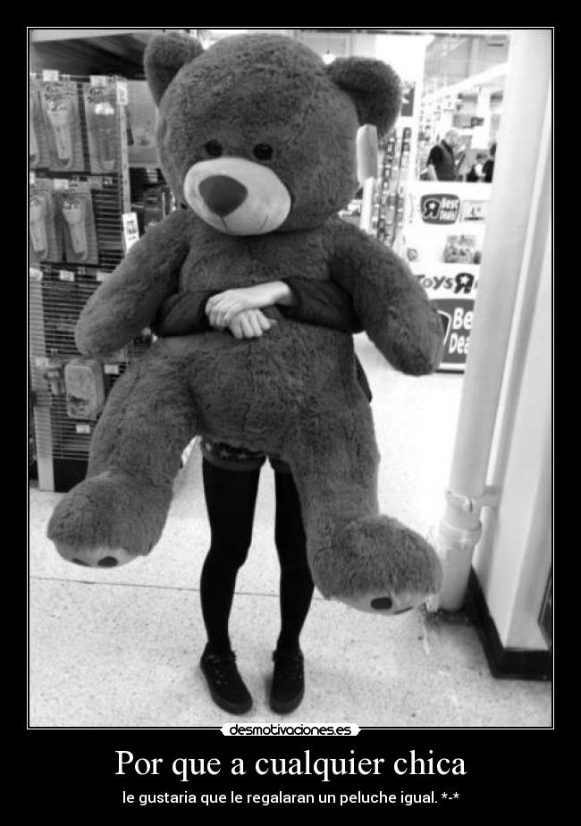Por que a cualquier chica - le gustaria que le regalaran un peluche igual. *-*