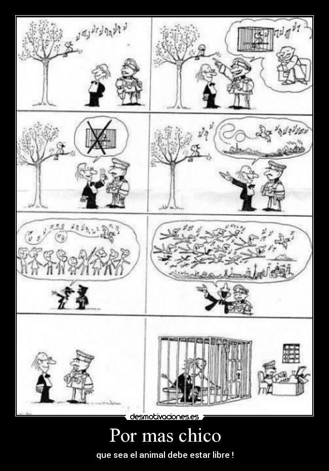 Por mas chico - que sea el animal debe estar libre !