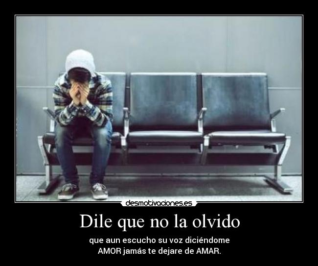 Dile que no la olvido - que aun escucho su voz diciéndome
AMOR jamás te dejare de AMAR.