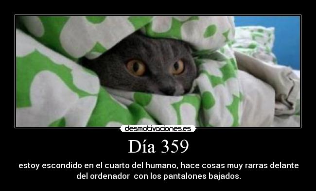 Día 359 - estoy escondido en el cuarto del humano, hace cosas muy rarras delante
del ordenador con los pantalones bajados.