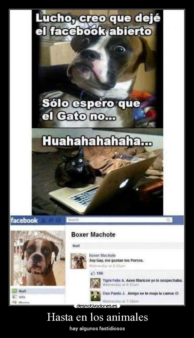 Hasta en los animales - hay algunos fastidiosos