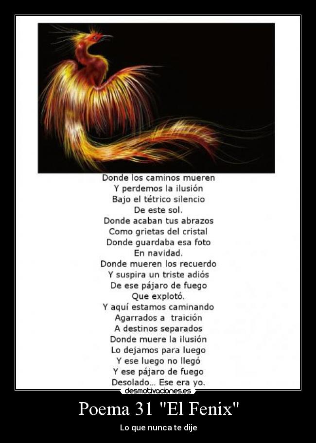 Poema 31 El Fenix - Lo que nunca te dije