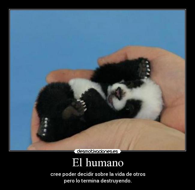 El humano - cree poder decidir sobre la vida de otros
pero lo termina destruyendo.