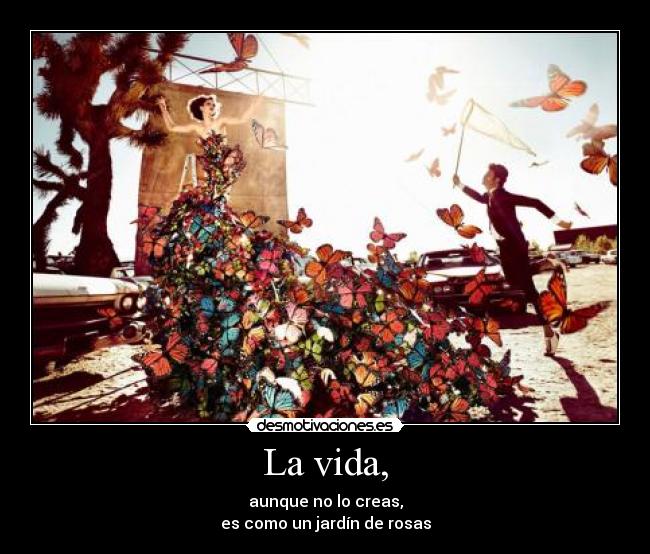 La vida, - aunque no lo creas,
es como un jardín de rosas