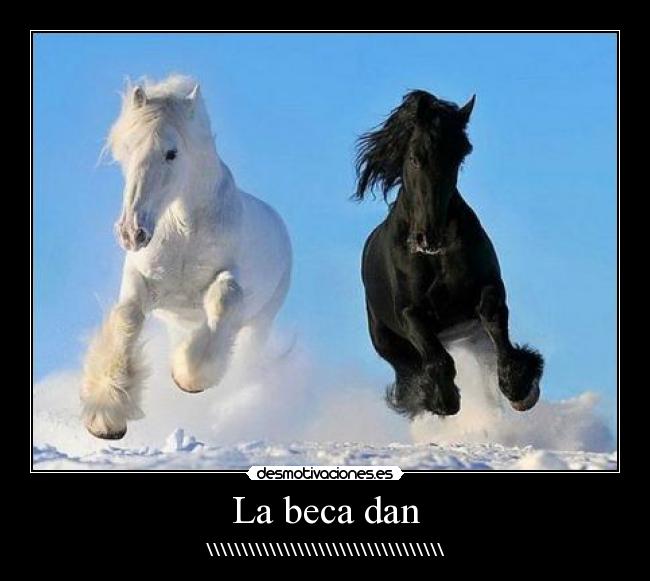 La beca dan - \\\\\\\\\\\\\\\\\\\\\\\\\\\\\\\\\\