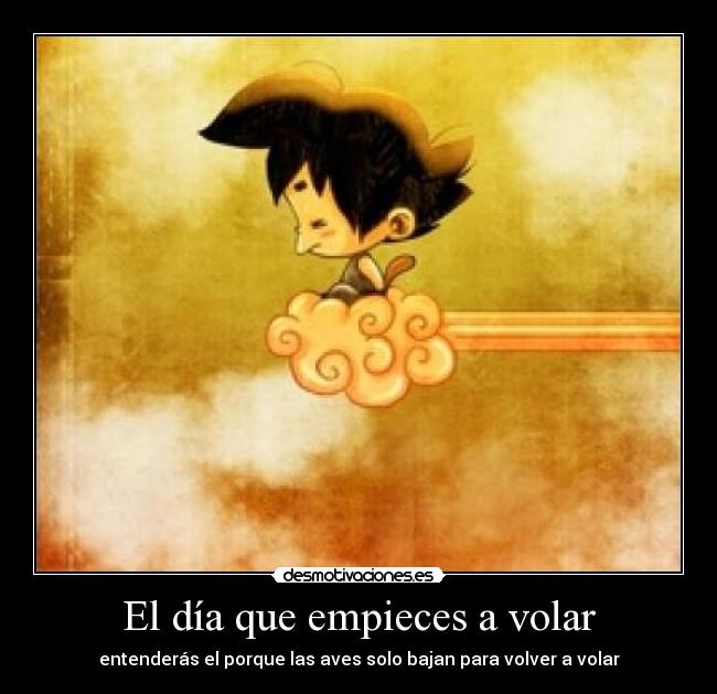 El día que empieces a volar - entenderás el porque las aves solo bajan para volver a volar