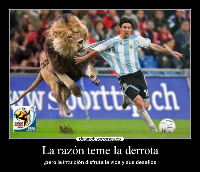 La razón teme la derrota - ,pero la intuición disfruta la vida y sus desafios