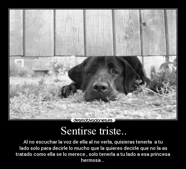 Sentirse triste.. - Al no escuchar la voz de ella al no verla, quisieras tenerla a tu
lado solo para decirle lo mucho que la quieres decirle que no la as
tratado como ella se lo merece , solo tenerla a tu lado a esa princesa
hermosa ..