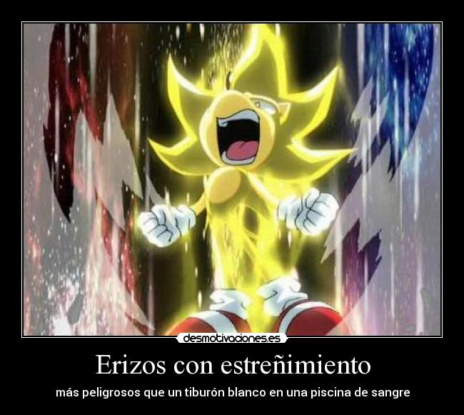 Erizos con estreñimiento - 