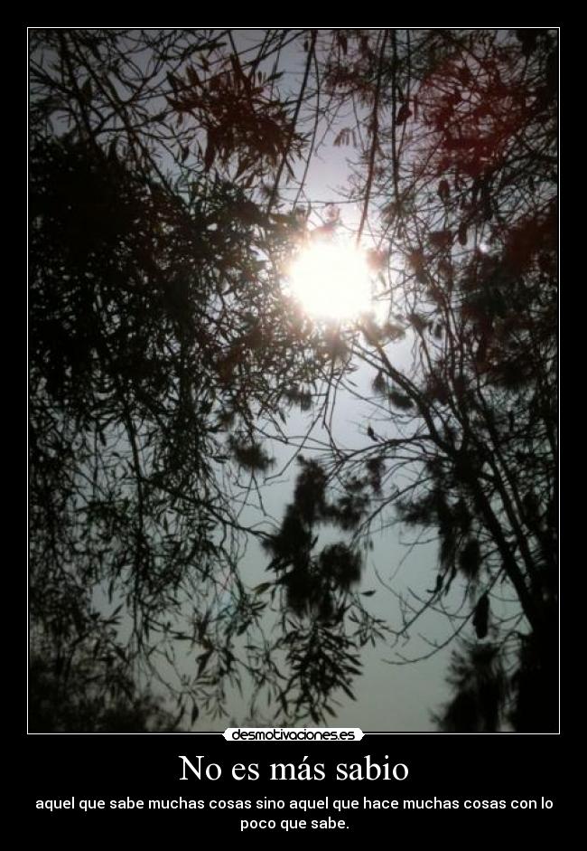 No es más sabio - aquel que sabe muchas cosas sino aquel que hace muchas cosas con lo
poco que sabe.