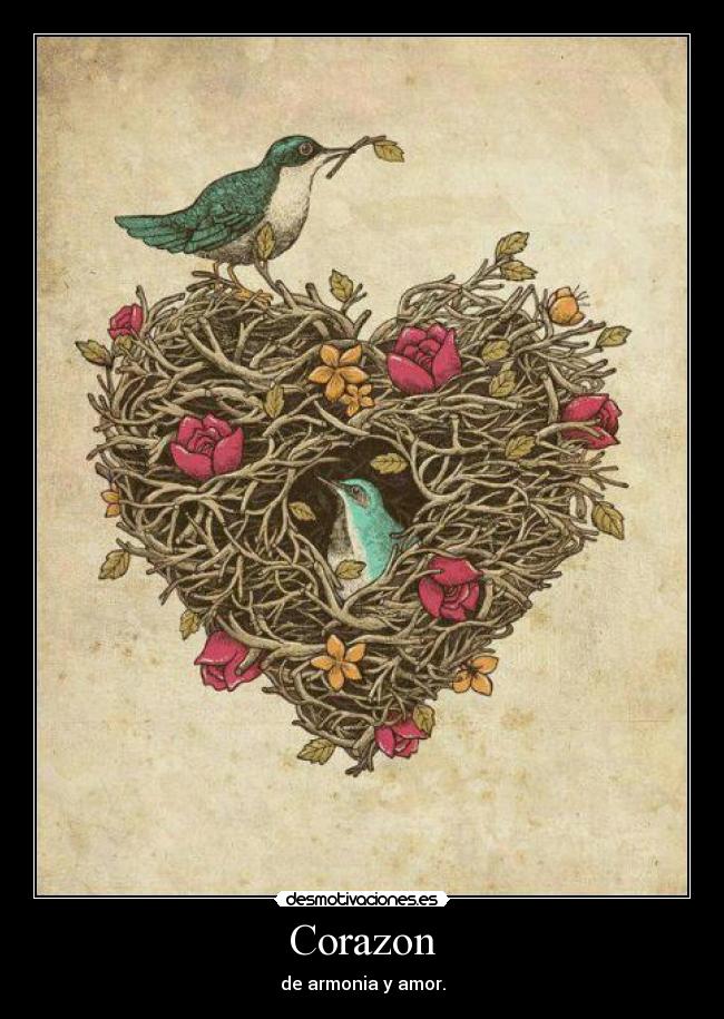 Corazon -
