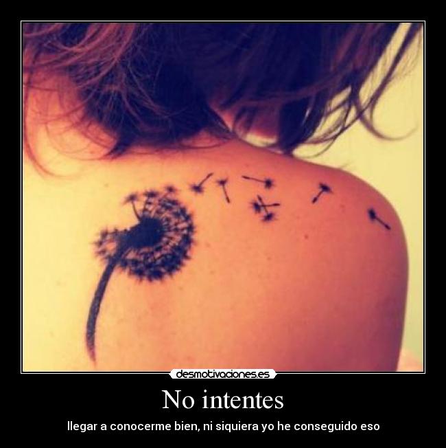 No intentes -