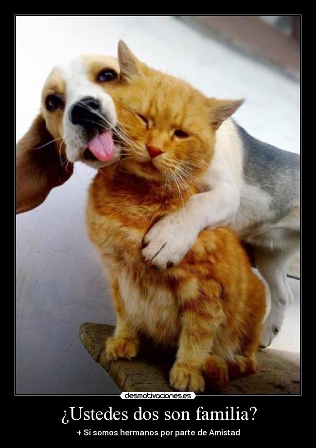 ¿Ustedes dos son familia? -