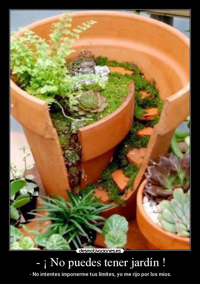 - ¡ No puedes tener jardín ! - - No intentes imponerme tus límites, yo me rijo por los mios.