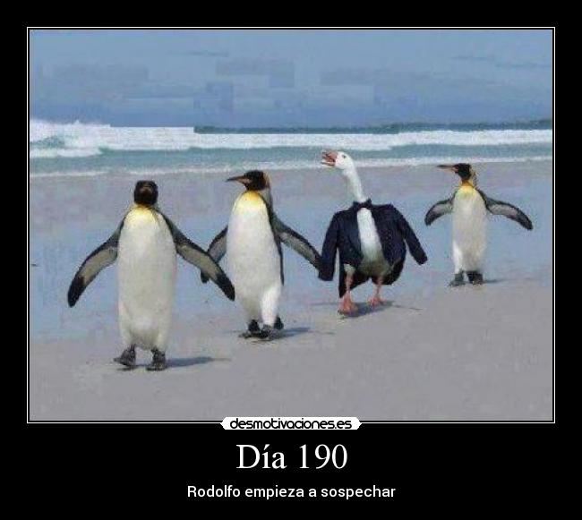 Día 190 - Rodolfo empieza a sospechar