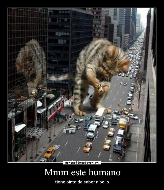 Mmm este humano - tiene pinta de saber a pollo