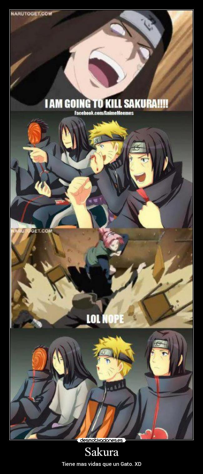 Sakura - Tiene mas vidas que un Gato. XD