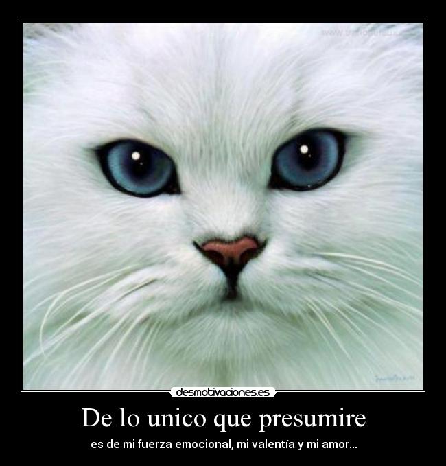 De lo unico que presumire -
