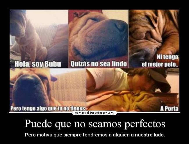 Puede que no seamos perfectos - Pero motiva que siempre tendremos a alguien a nuestro lado.