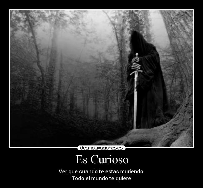 Es Curioso -