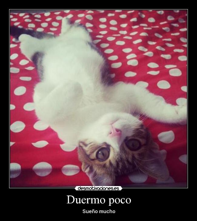 Duermo poco -