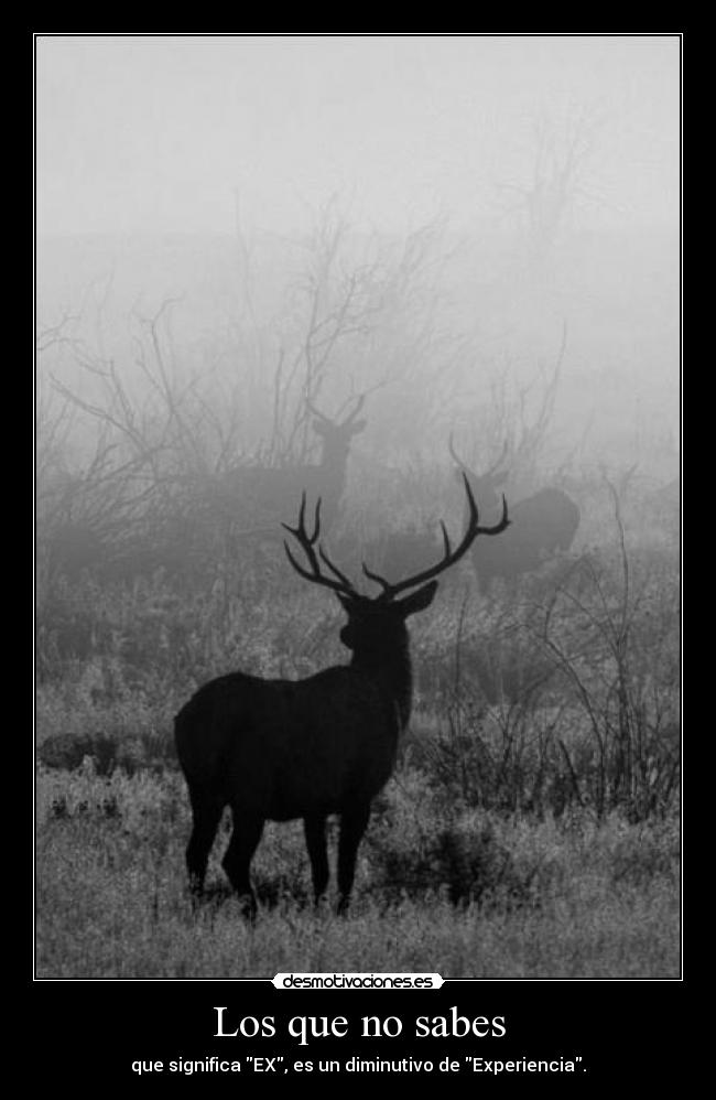 Los que no sabes -