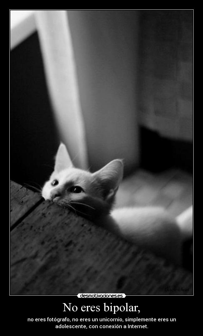No eres bipolar, -