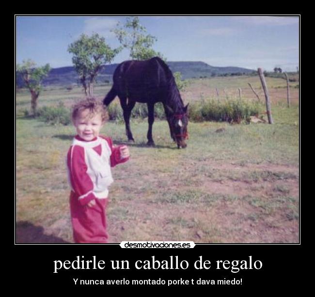 carteles keria caballo pero tenia miedo desmotivaciones