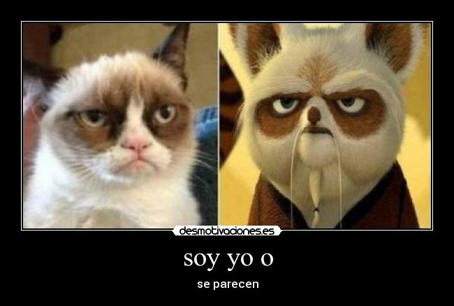 soy yo o - se parecen