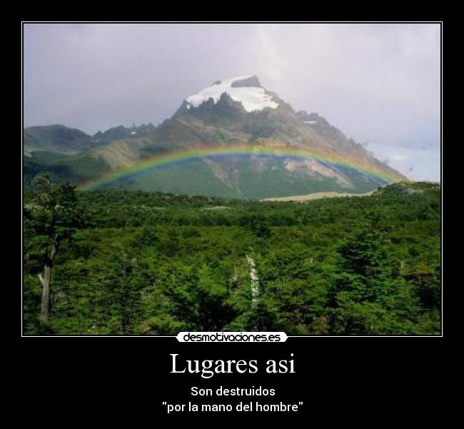 carteles contaminacion construcciones destruyen hermoso del planeta lirico desmotivaciones